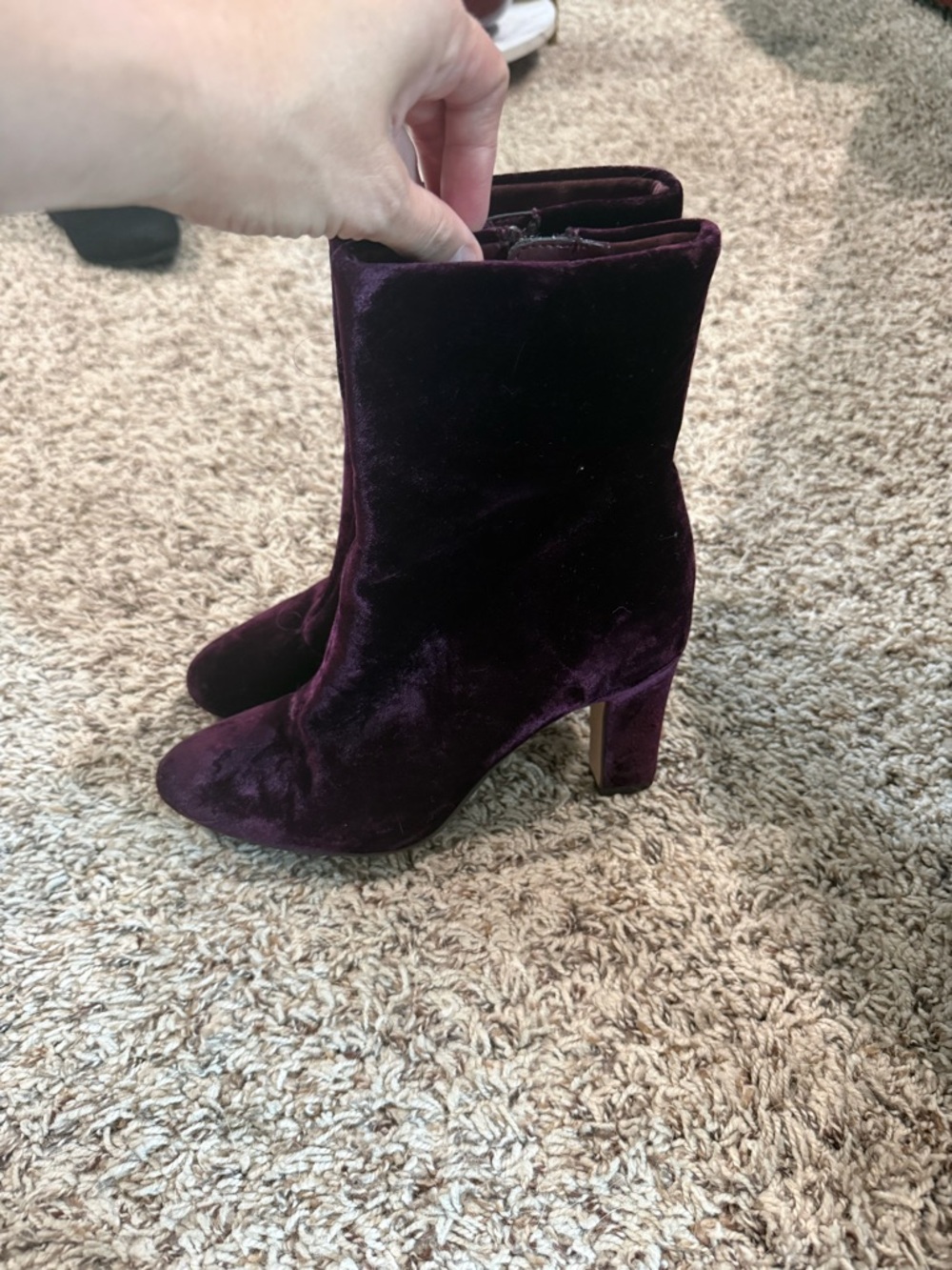Lauren Ralph Lauren Velvet Ankle Boots - Plum